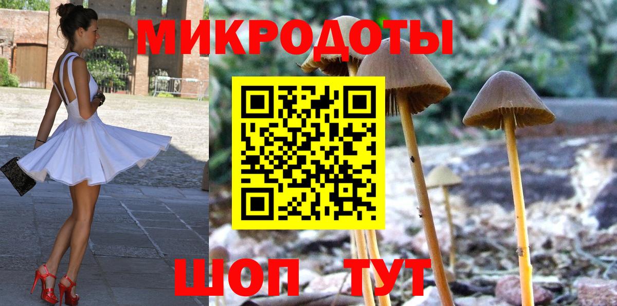 Ефремов  Псилоцибиновые грибы MAGIC MUSHROOMS  Вход с VPN  Галлюциногенные грибы мухоморы 