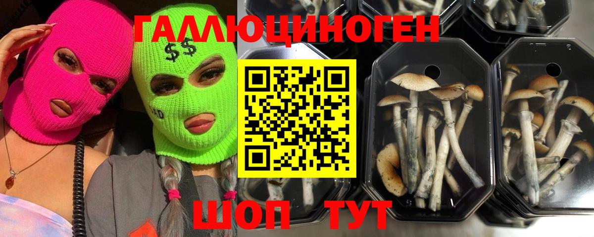 Галлюциногенные грибы GOLDEN TEACHER Ефремов
